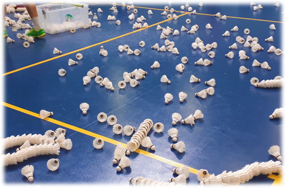 Badminton multishuttle