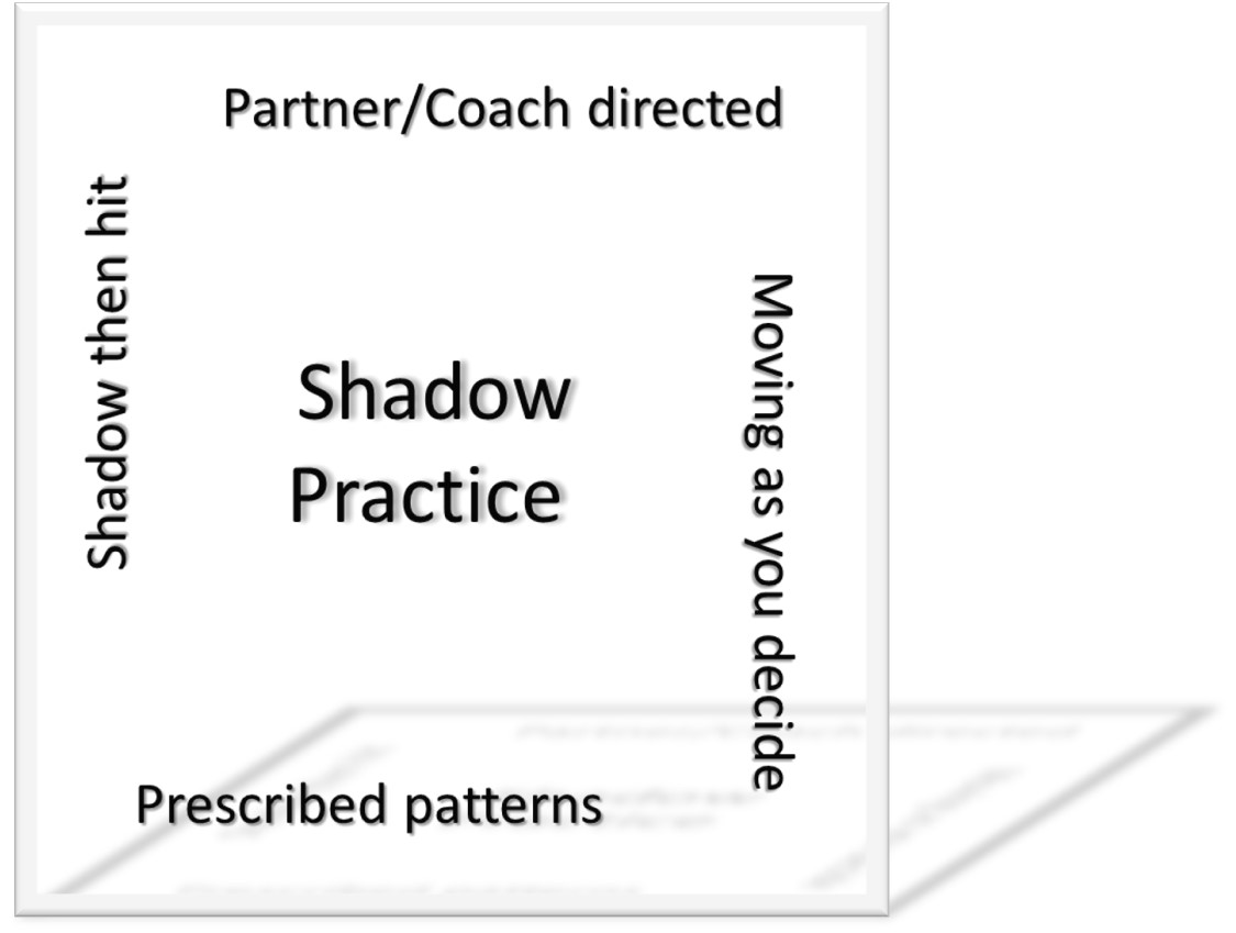 what is shadow badminton