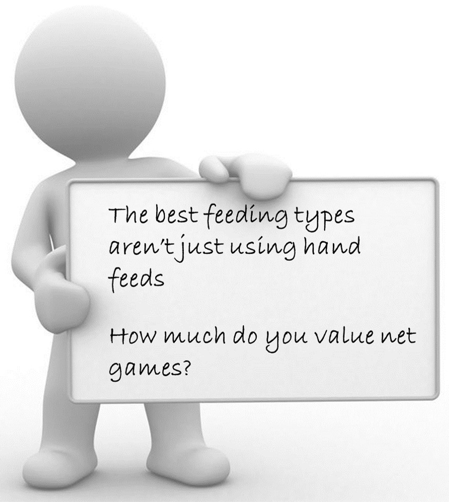 Badminton Questions for net spin