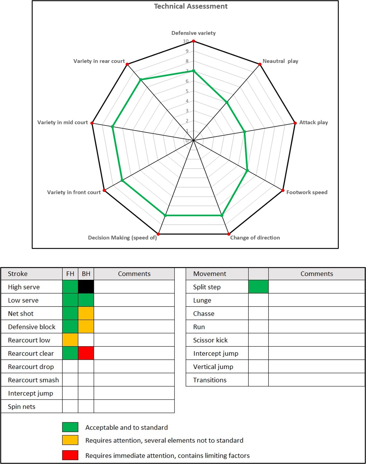 Badminton Player Technique asessments