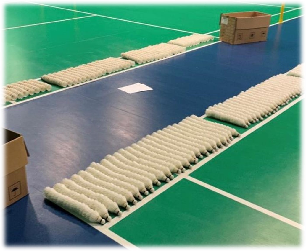 Badminton Coaching Tips