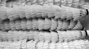 what is multi shuttle