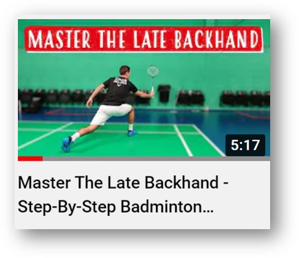 Badminton Insight
