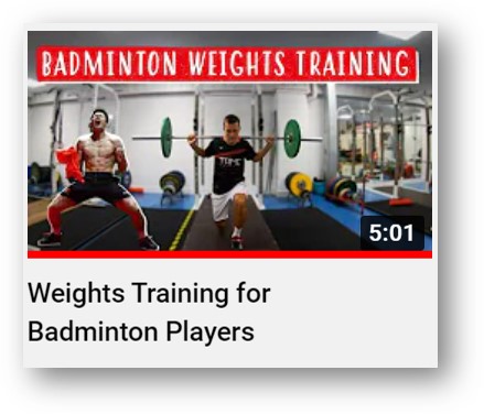 Badminton Insight