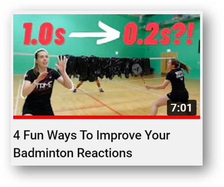 Badminton Insight